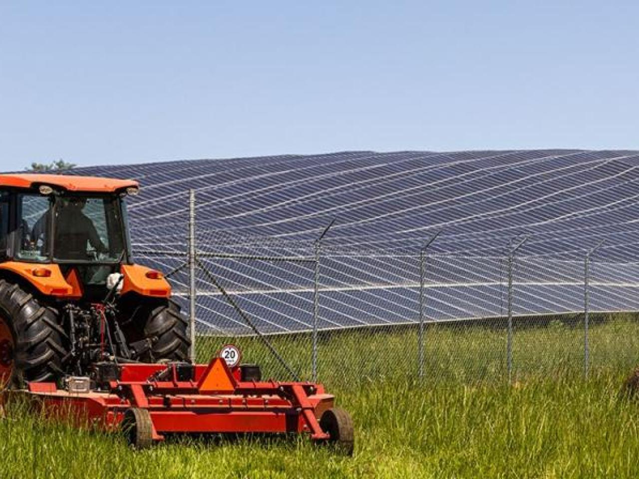 A large red tractor in a field next to large rows of solar panels.