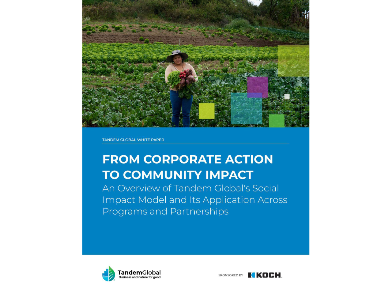 New White Paper from Tandem Global, Sponsored by Koch  