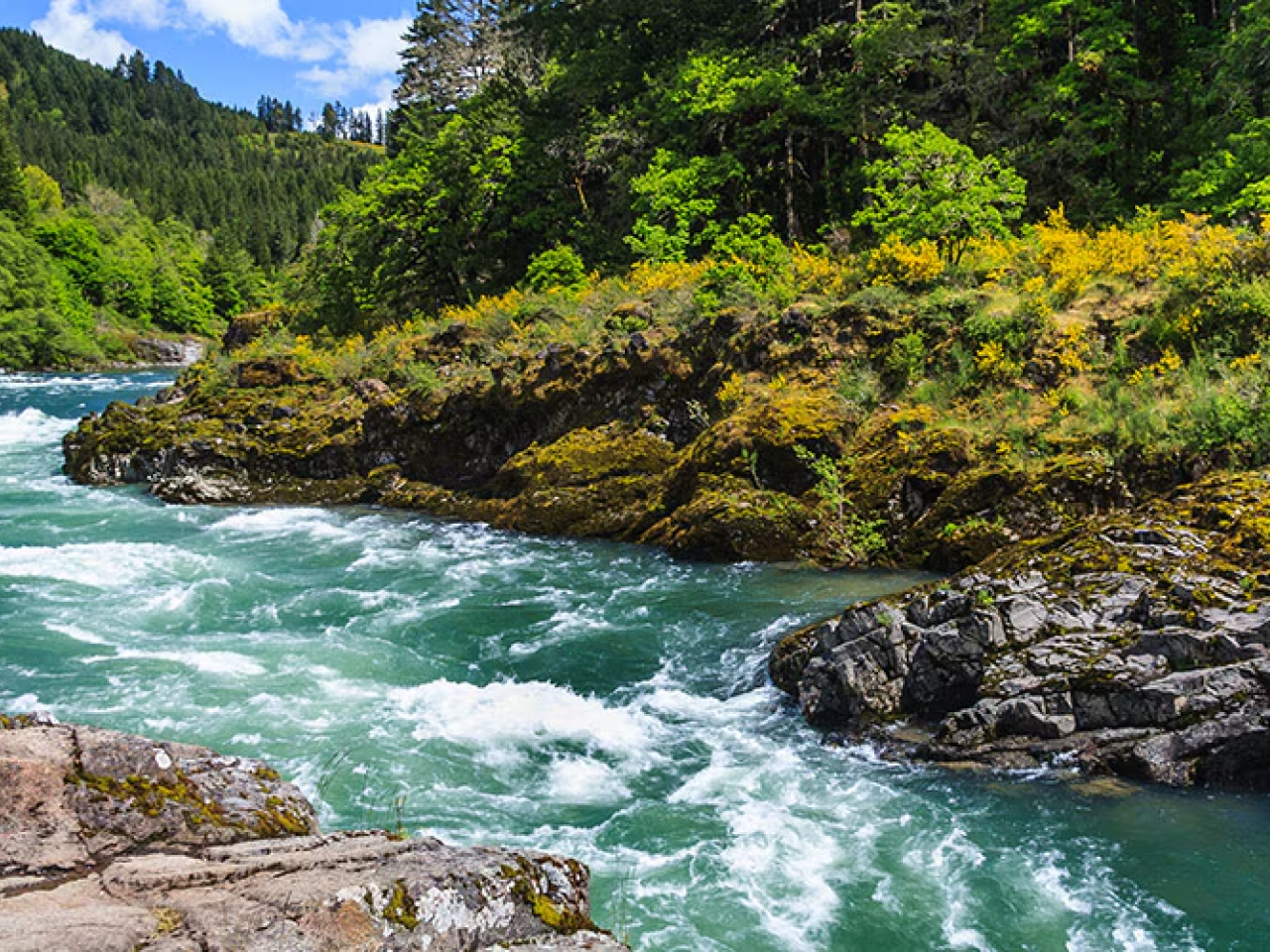 A river running through a landscape