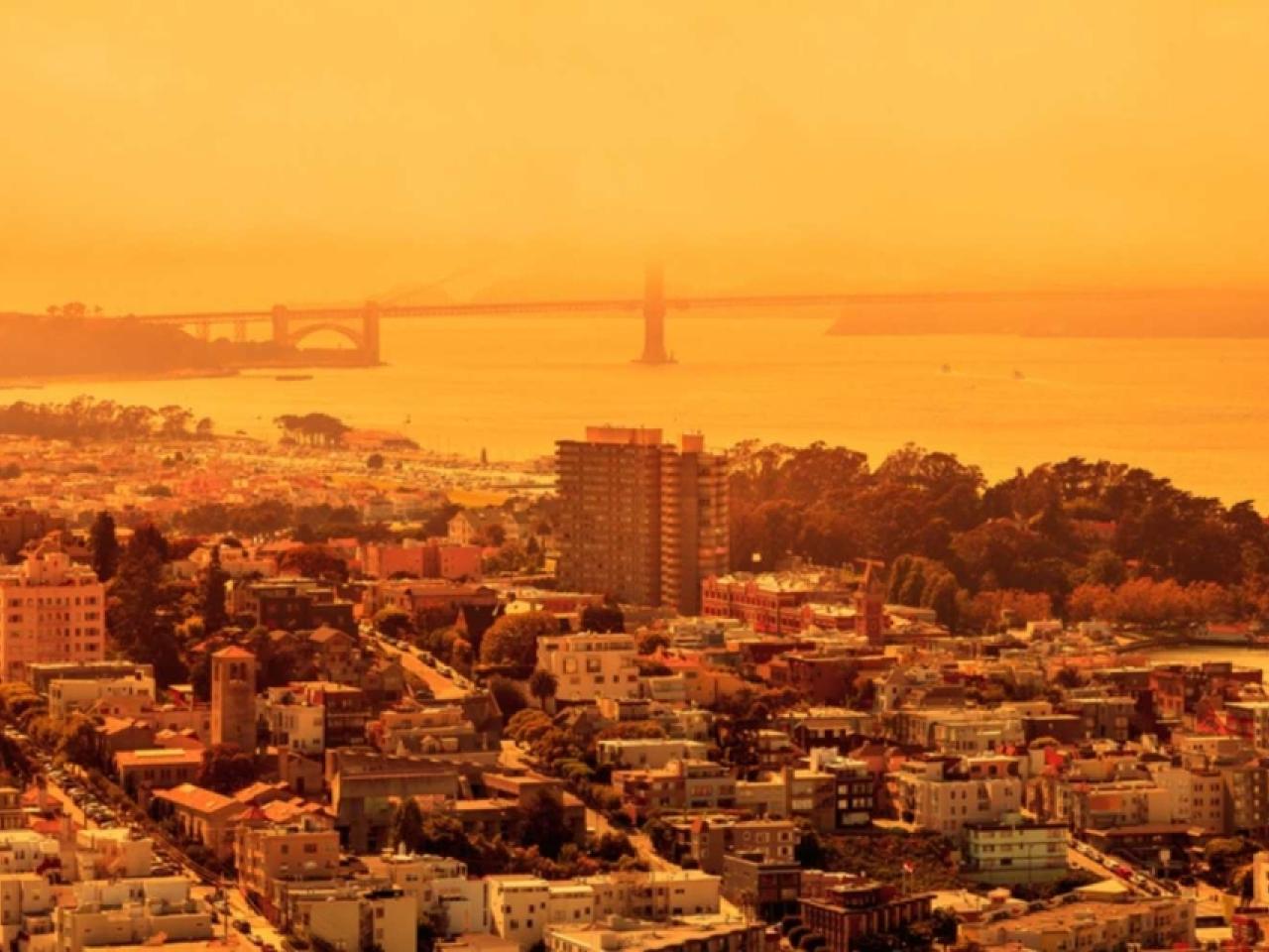 city covered with smoke from wildfires