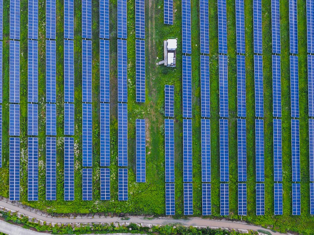 Aerial shot of solar panels in field