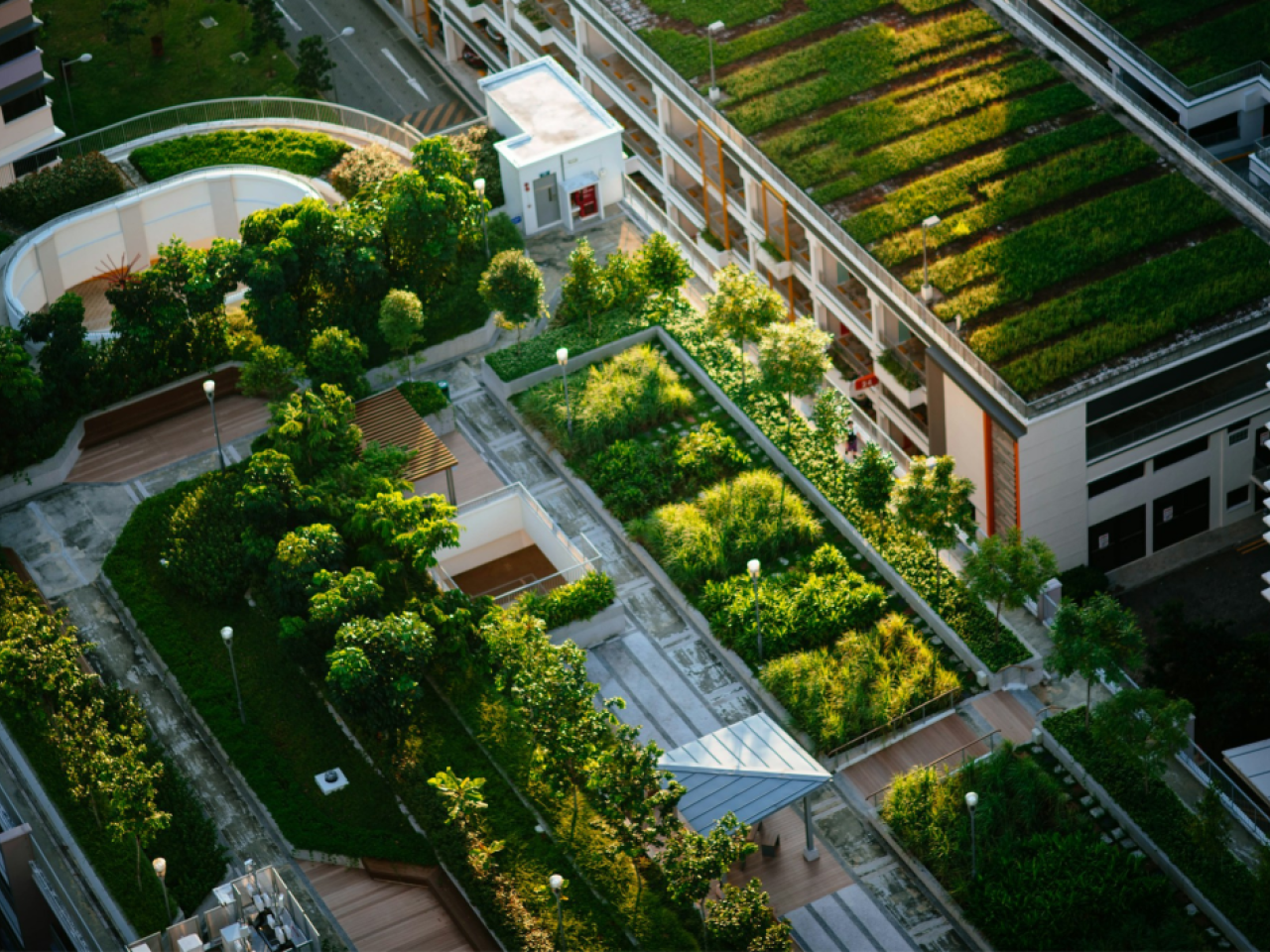 Example of buildings where nature-positive attributes are implemented