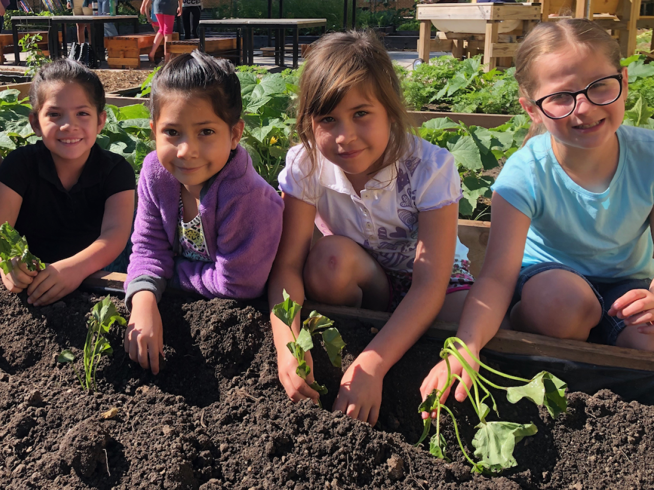 children working on a garden