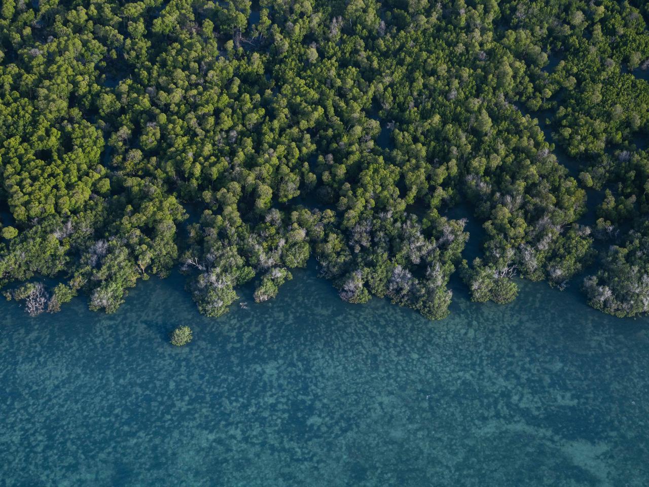 Pate Island. Credit: Roshni Lodhia