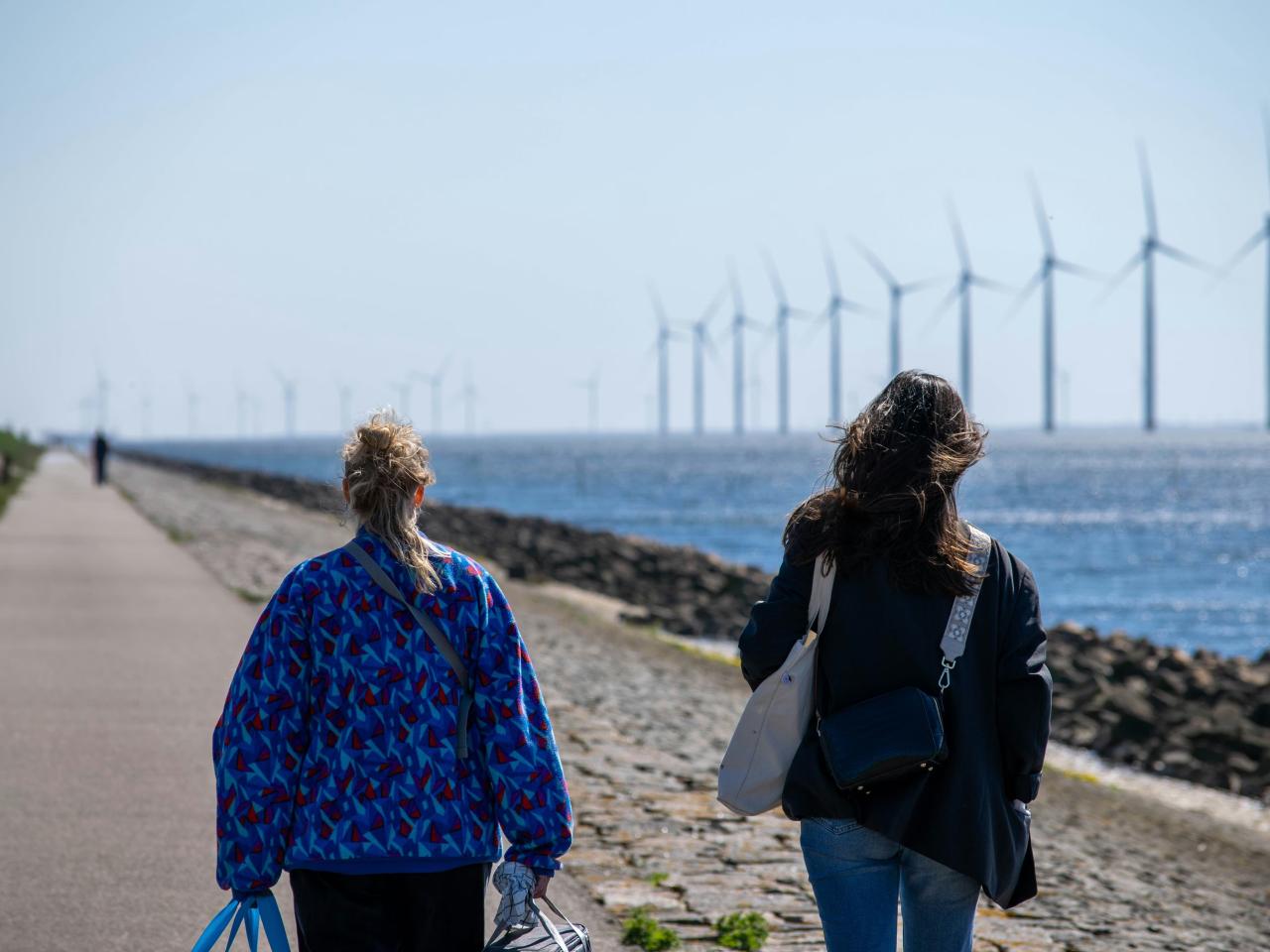 people walking by windmills