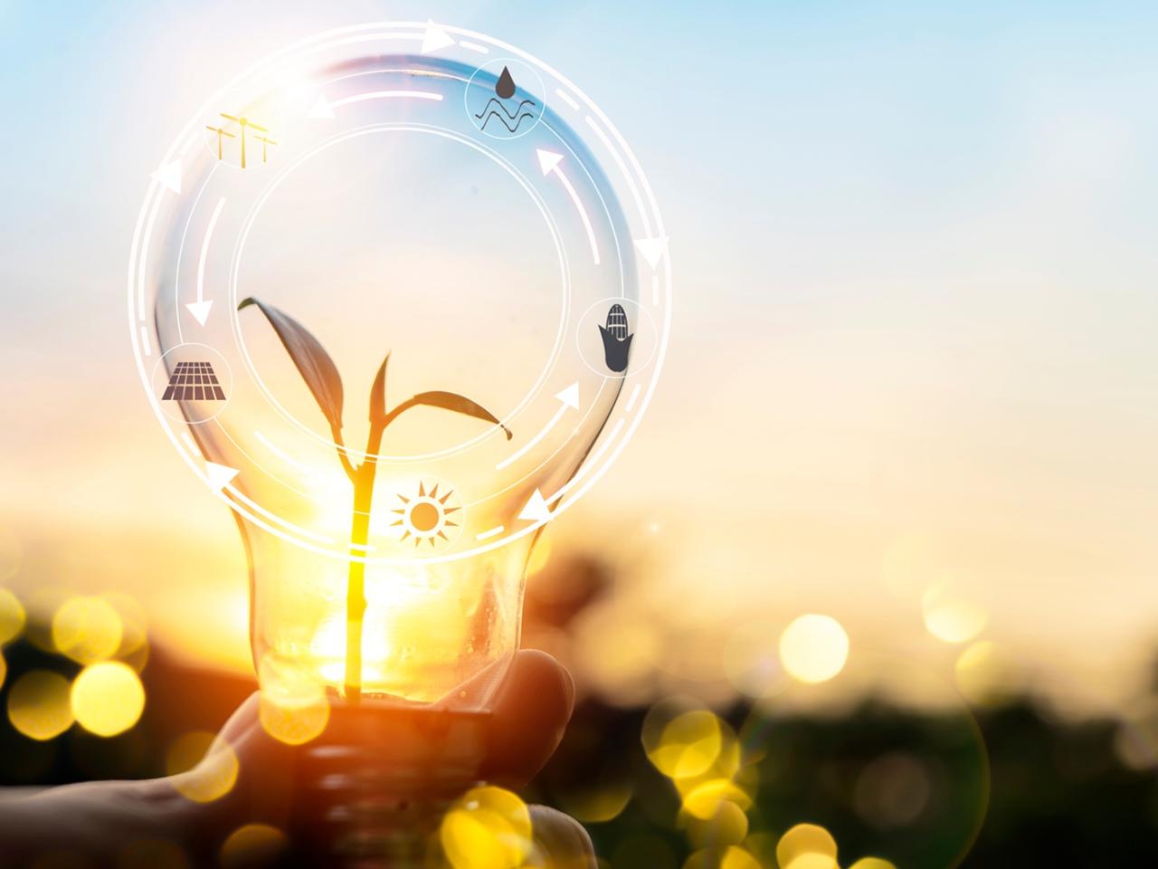 Visualization of lightbulb with plant growing in the middle