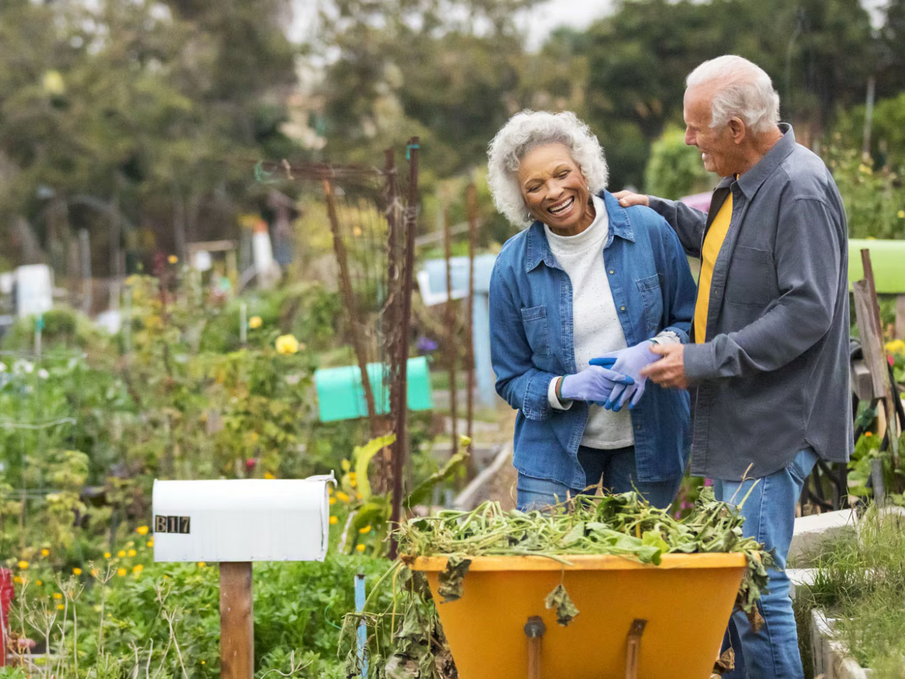 A smiling older couple gardening