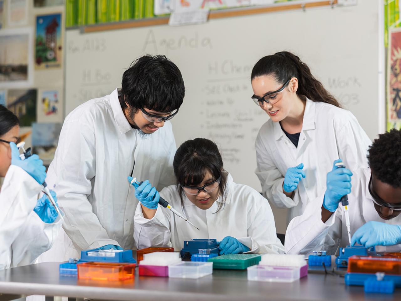 students working together on experiments