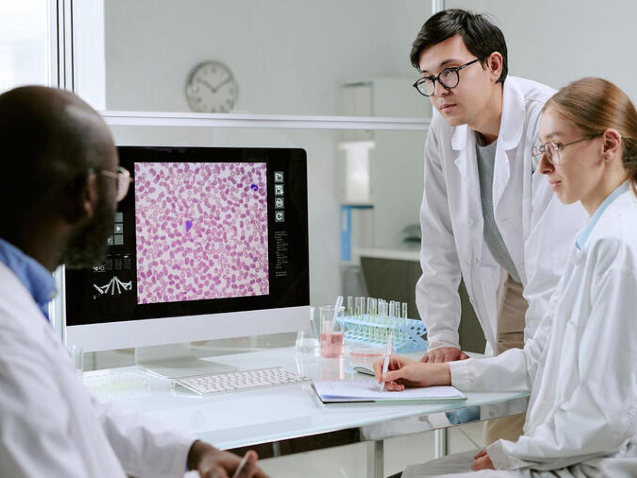 people working together in a lab