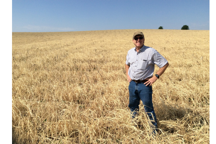 Dan Gillespie in a Field
