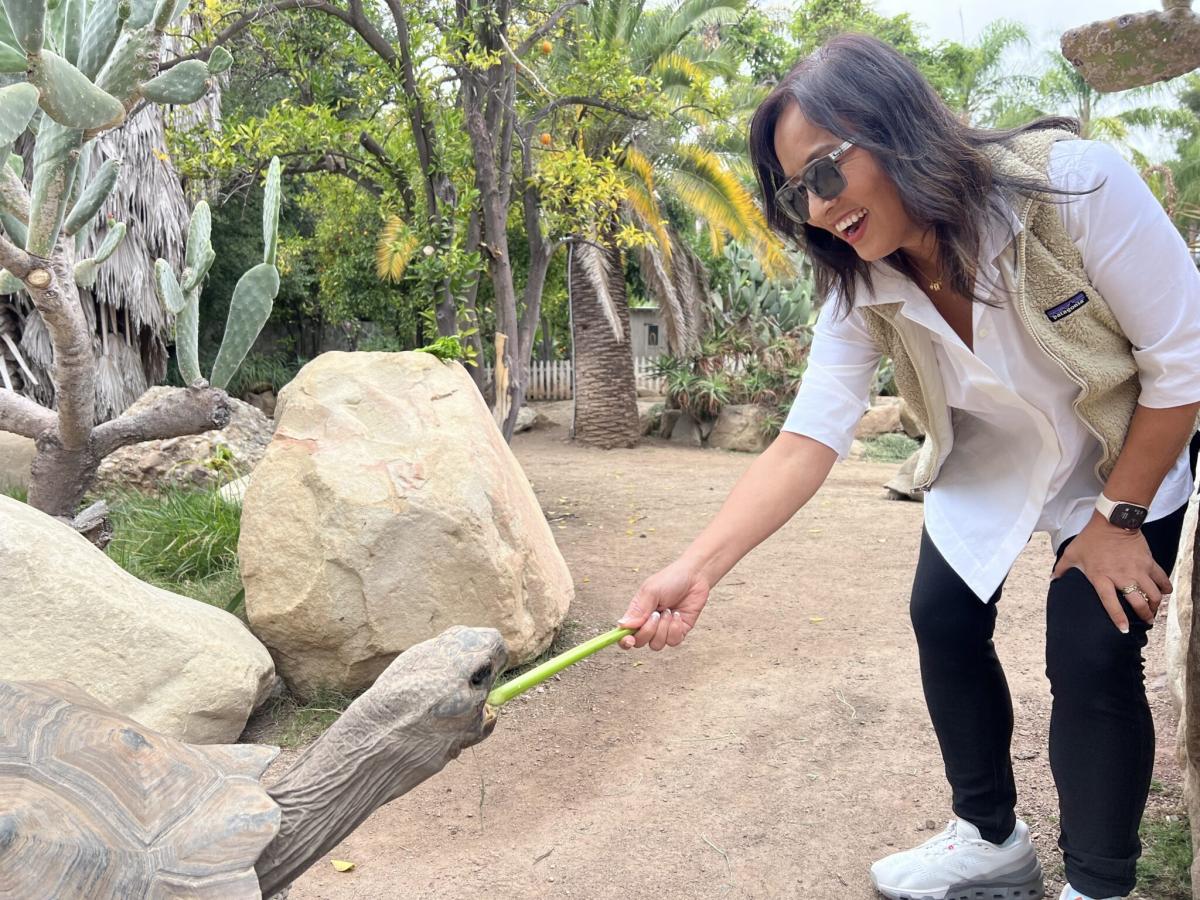 Ying McGuire with a turtle