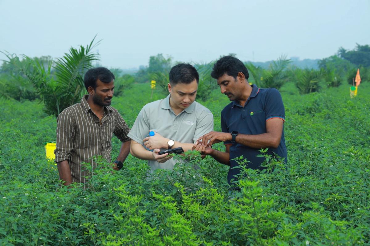 people standing in a field together