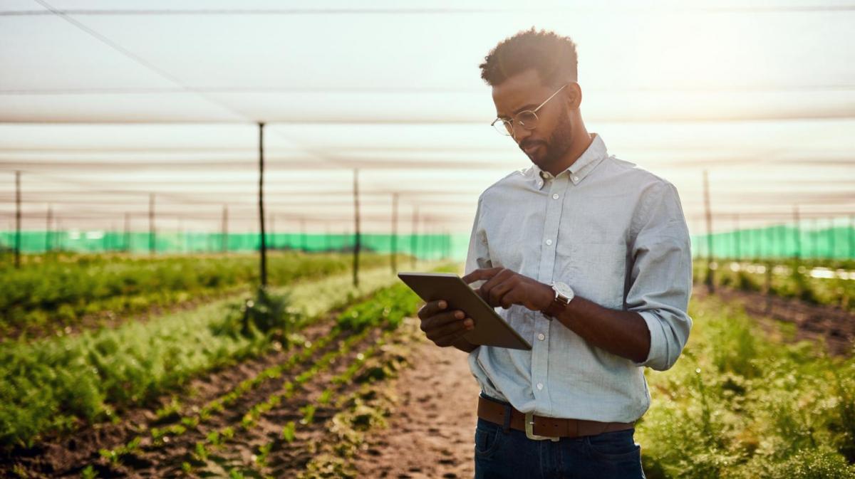 Man looking at tablet in a greenhouse