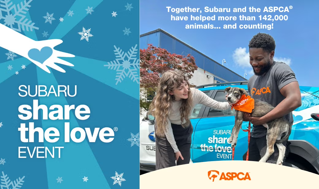 Someone pets a dog while another holds it, with text "Together, Subaru and the ASPCA have helped more than 142,000 animals... and counting!"