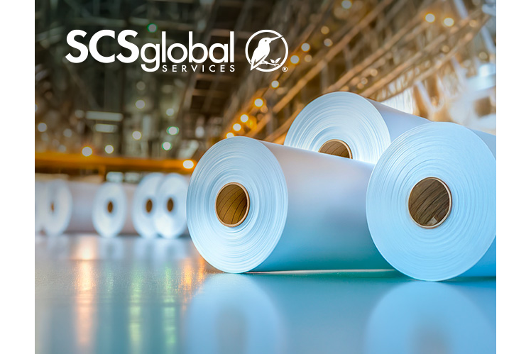 Rolls of Paper