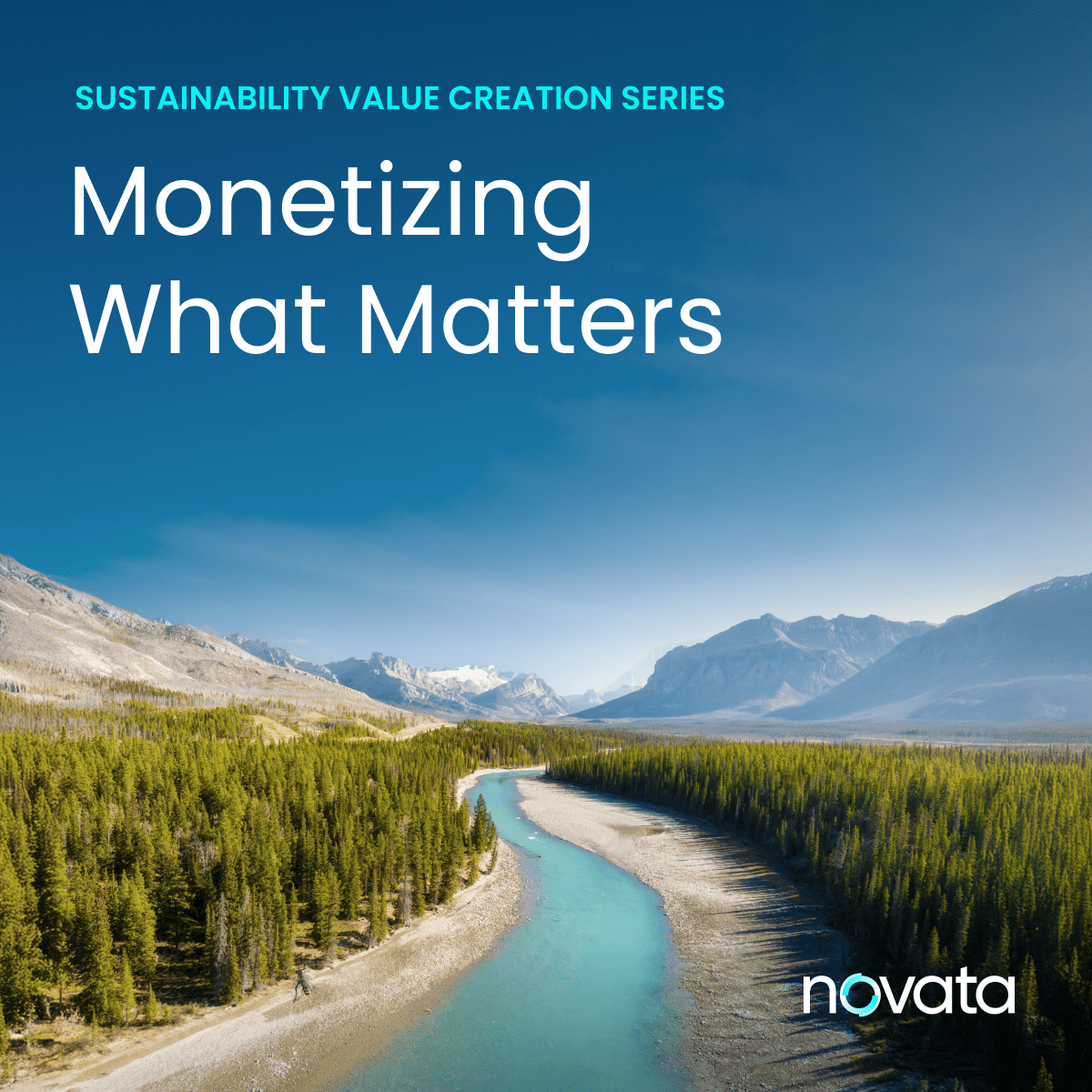 Monetizing What Matters