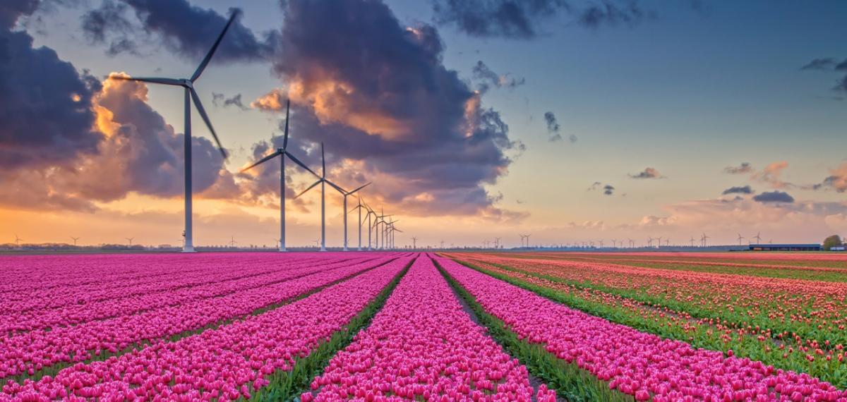 AB Low Carbon Investing