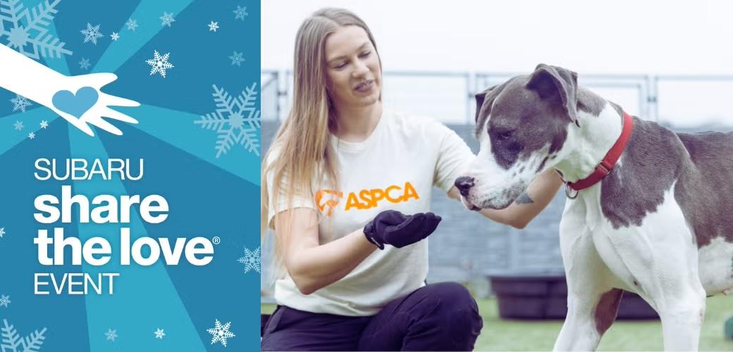 ASPCA volunteer holding her hand out to a large gray and white dog