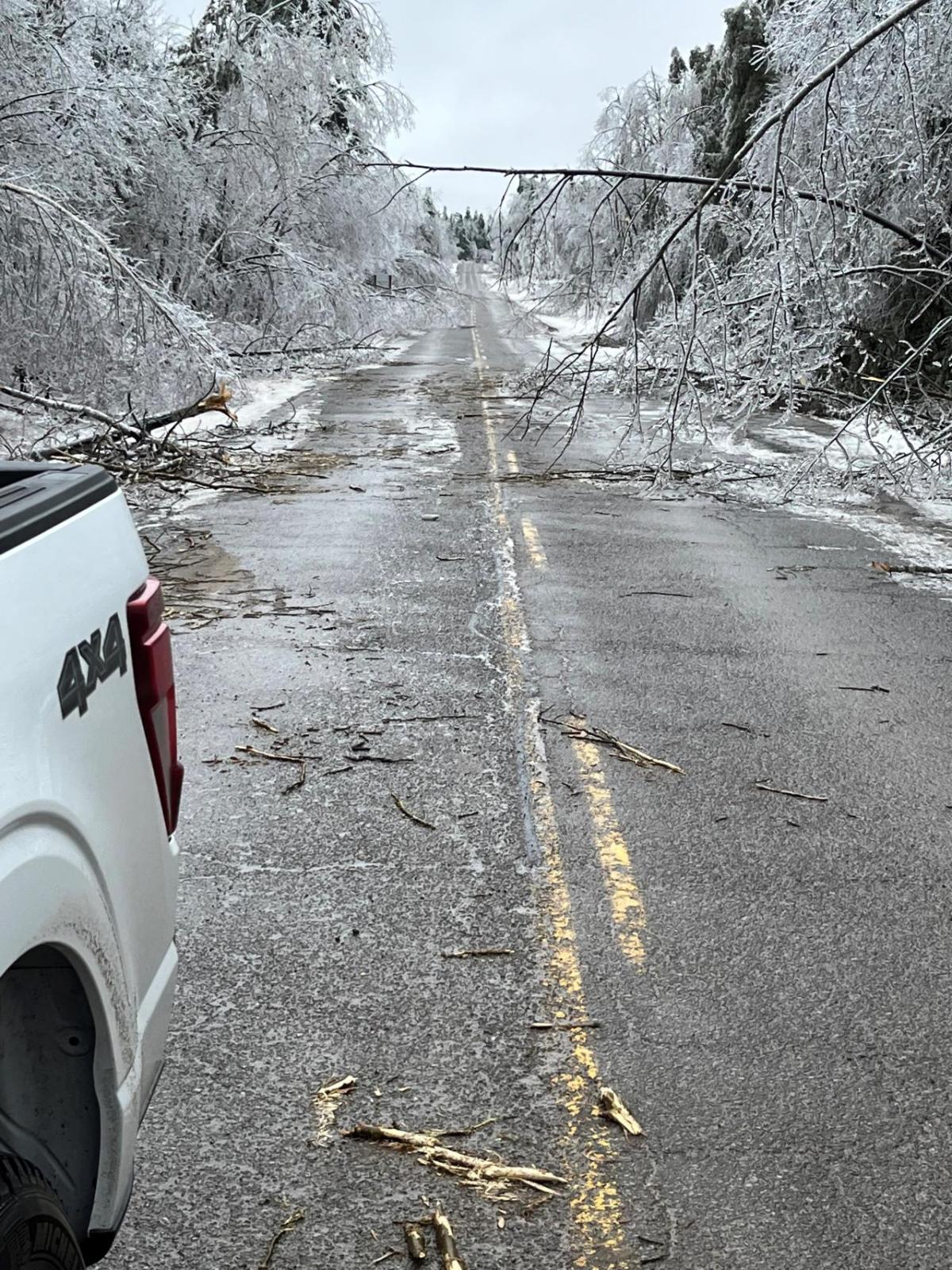 Downed trees in road from ice storm