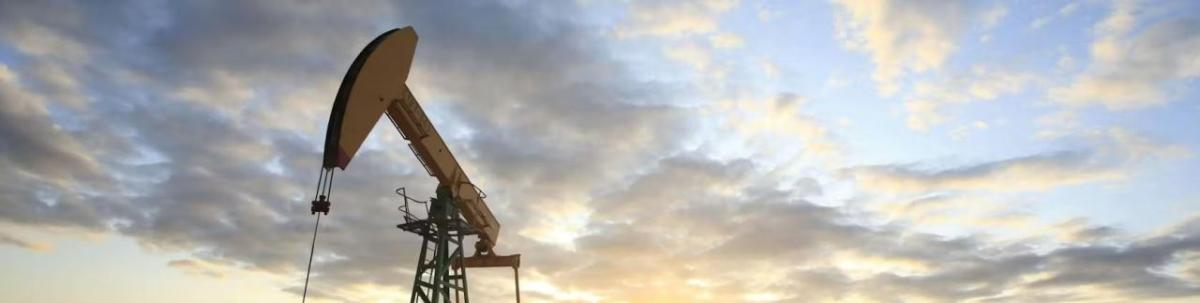 Industrial crane