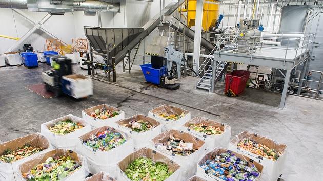 Food waste sorted into boxes
