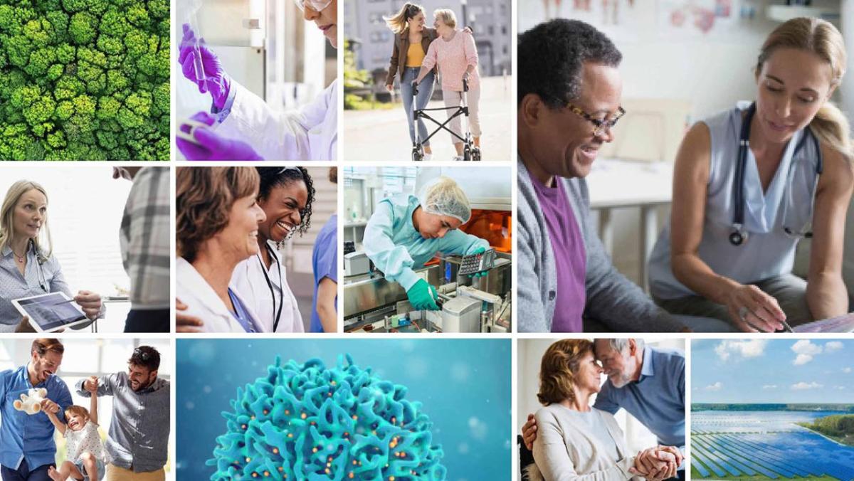 Collage of images from the BMS ESG Report.