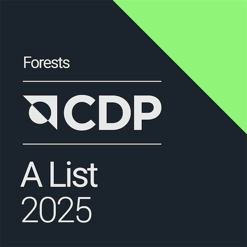 CDP A List, 2025, Forests.