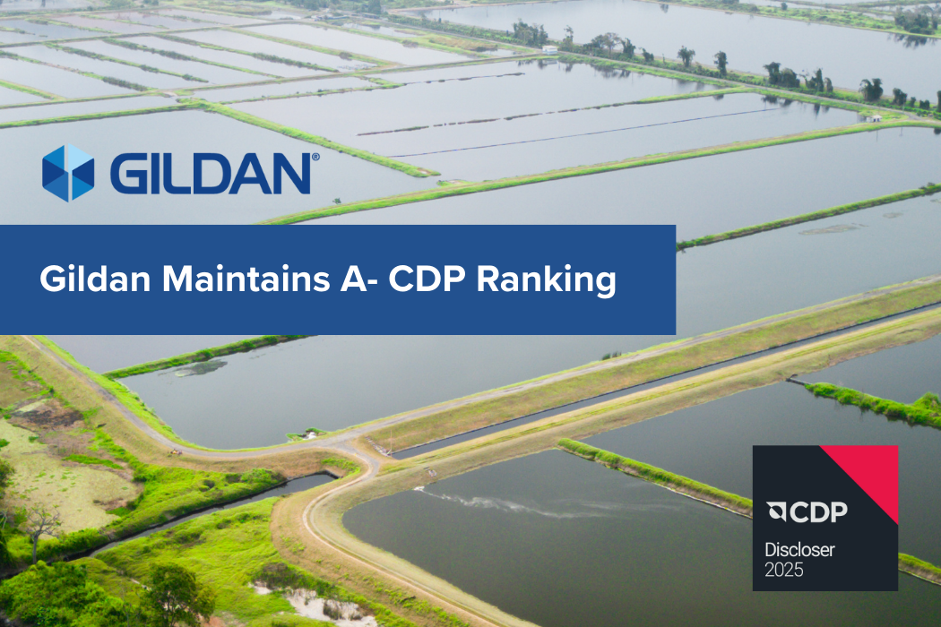 "Gildan Maintains A- CDP Ranking" text and Gildan and CDP logos against a backdrop of Gildan's Biotop