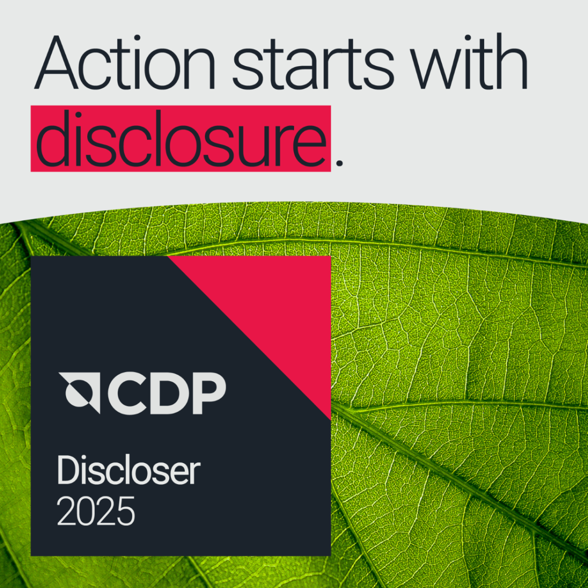 "Action starts with disclosure." CDP Discloser 2025 logo