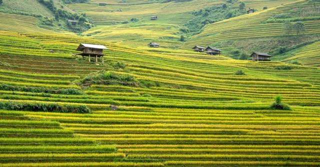 Cascale report on Vietnam sustainability challenges.