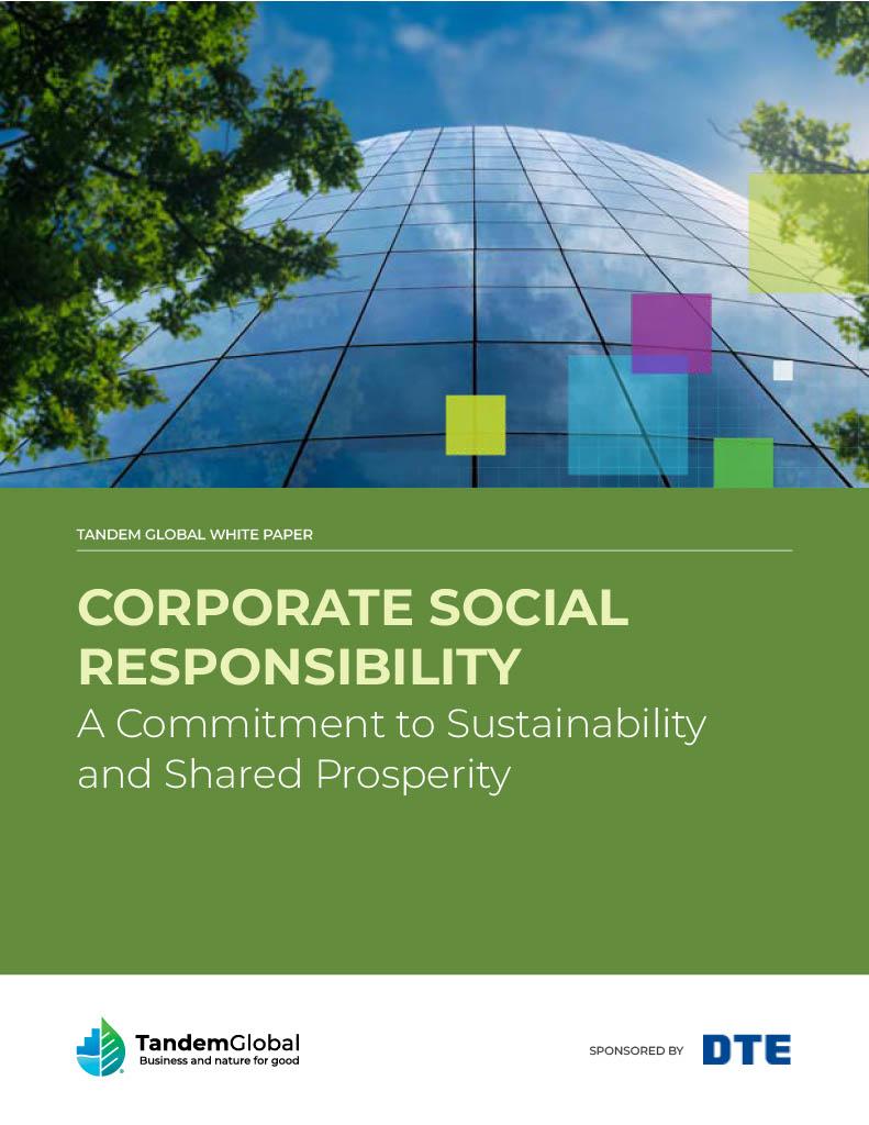 New White Paper from Tandem Global, Sponsored by DTE Energy 