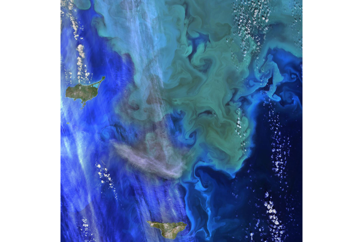 Image of Geographic Information Systems mapping