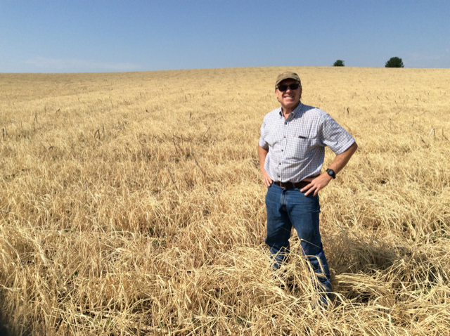 Dan Gillespie standing in field 