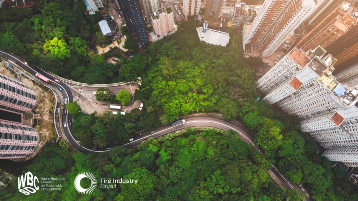 Aerial view of curved road in forest against buildings