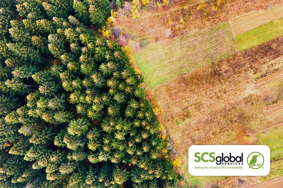 SCS Global Services - Forest image