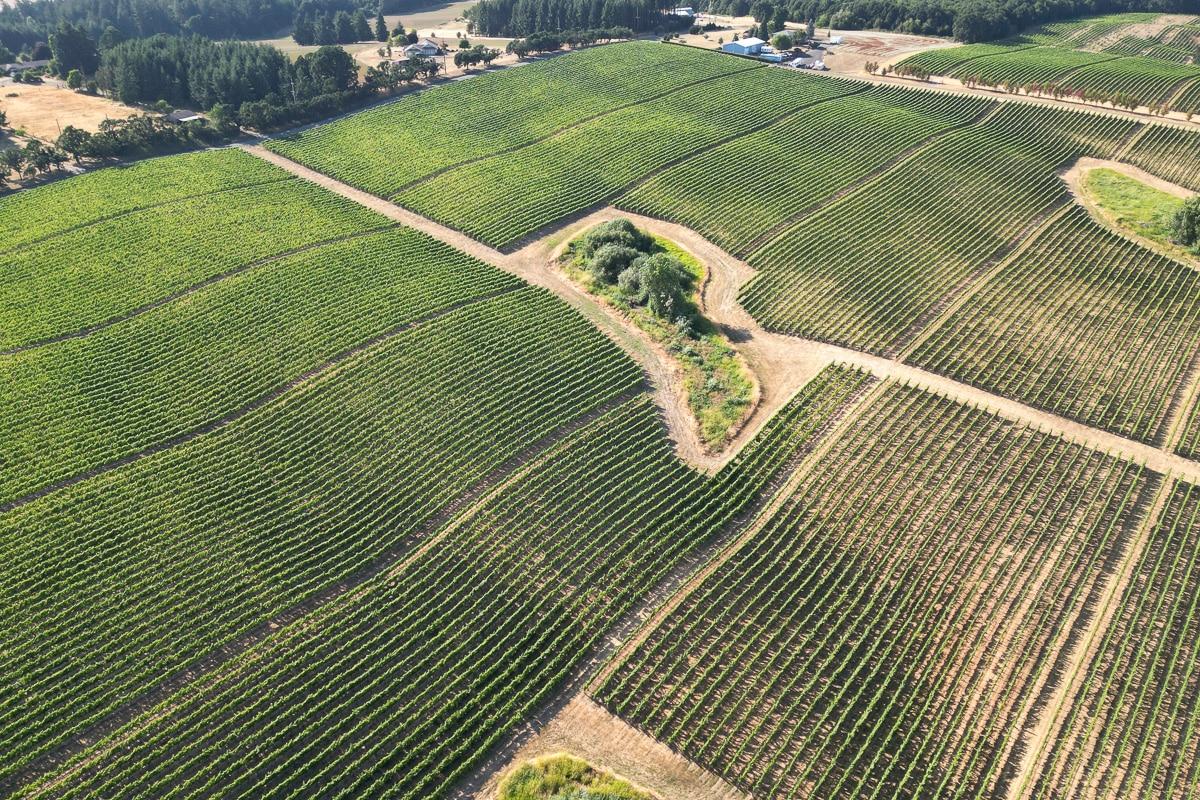 Photo courtesy of Farmland LP