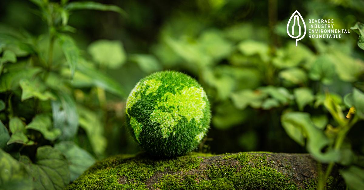 green globe in the forest, sustainability concept