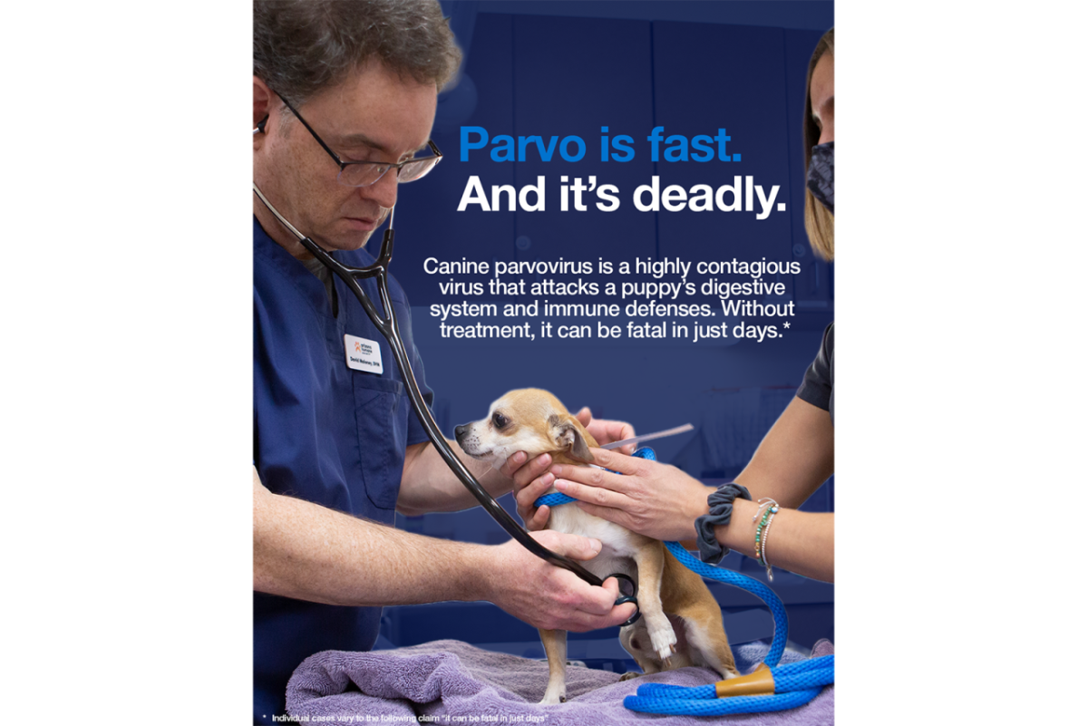 Parvo is fast. And it's deadly. Canine parvovirus is a highly contagious virus that attacks a puppy's digestive system and immune defenses. Without treatment, it can be fatal in just days.*