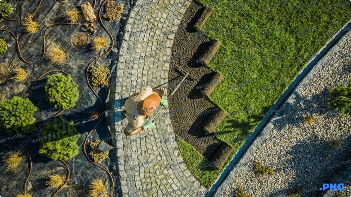 Featured image: mowing lawn.