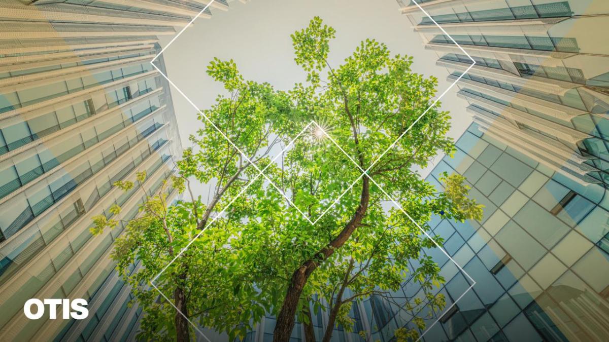 Tree and modern buildings