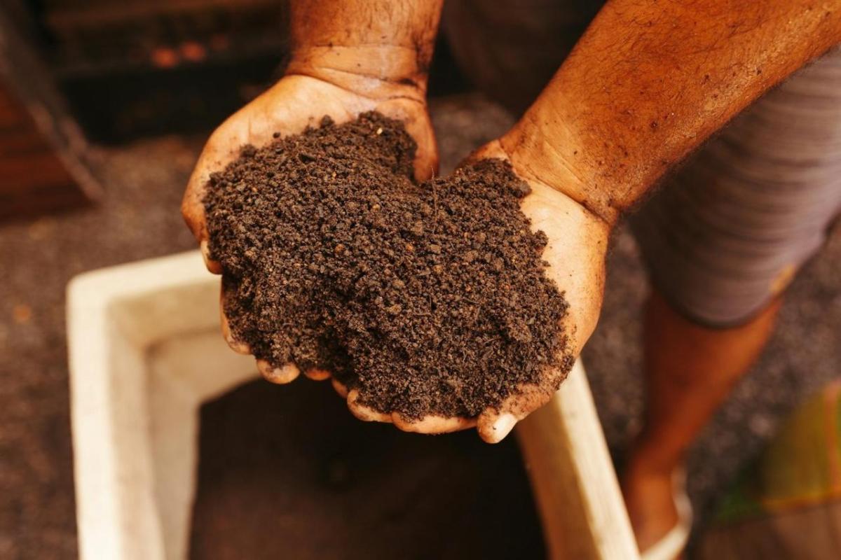 hands in dirt