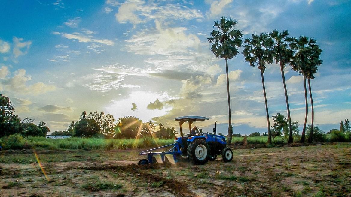 Blue tractor working in a field with tall palm trees in the background