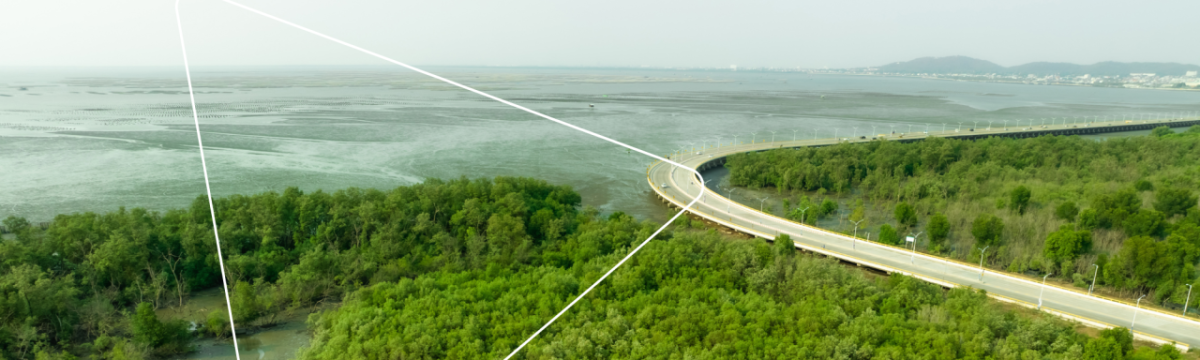 Photo of cars driving on a road surrounded by trees near water