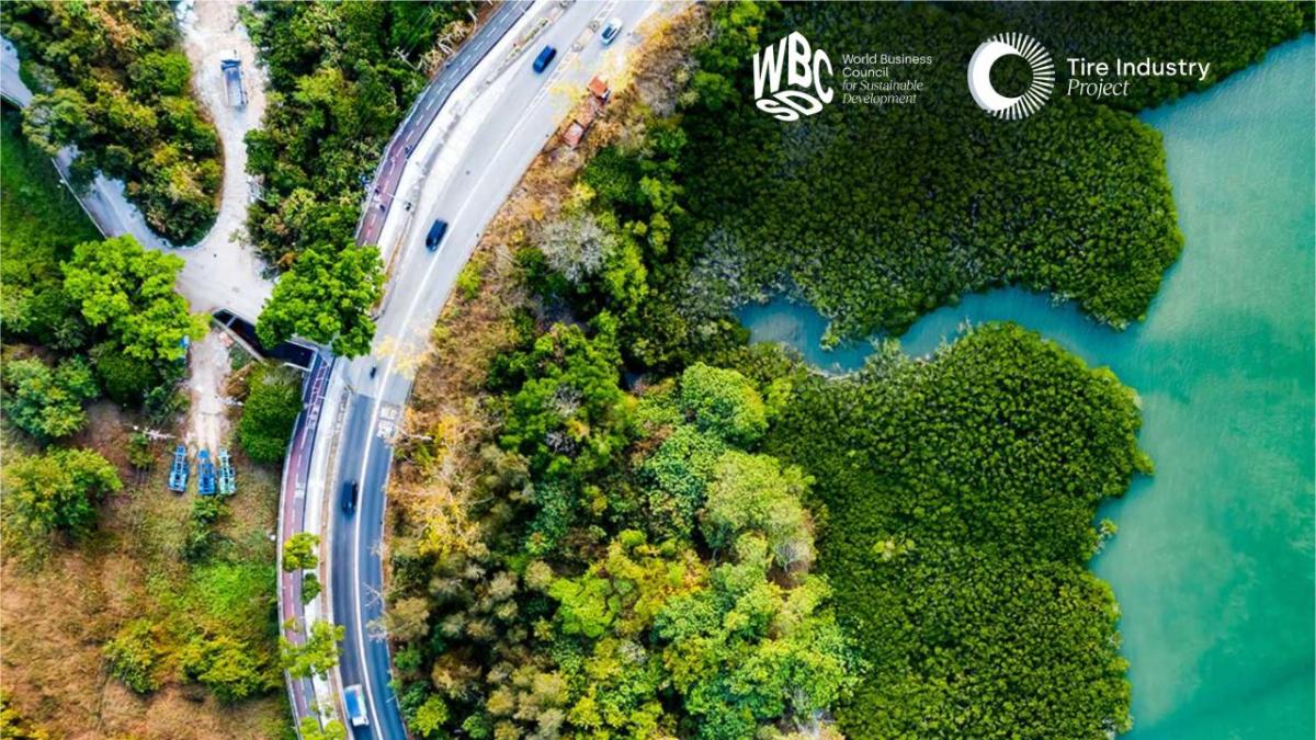 Road curving through forest next to a water body