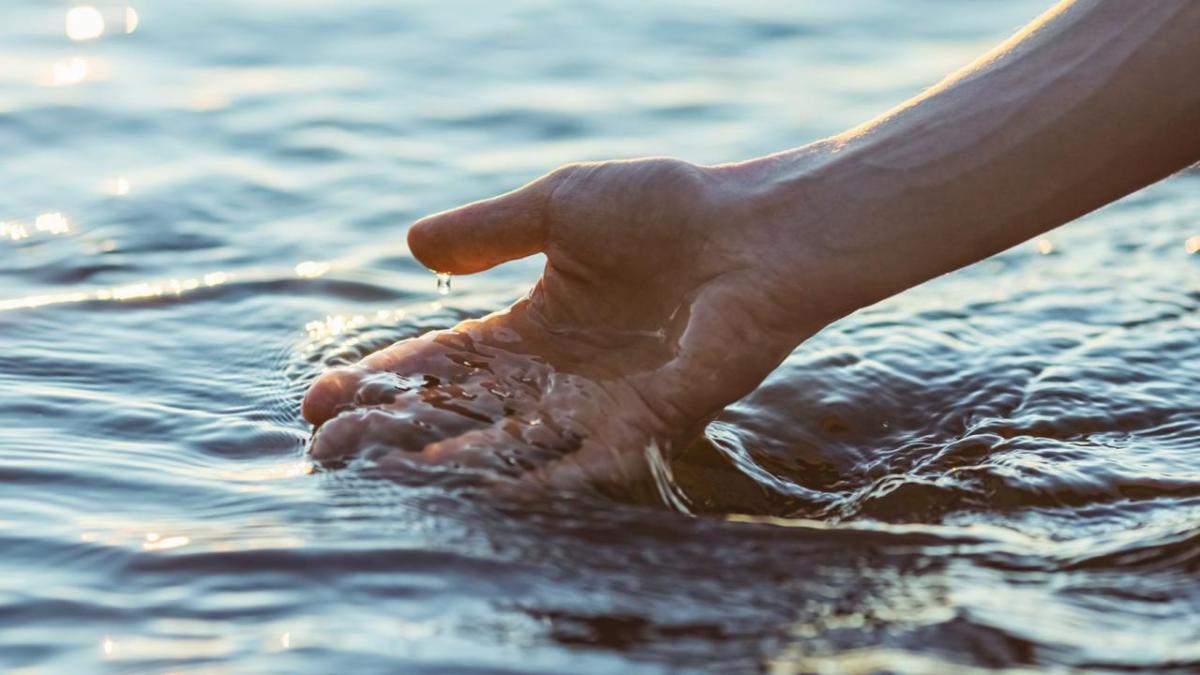 Close up of hand scooping up water