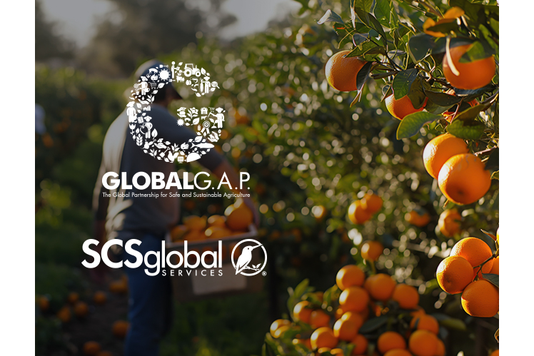 SCS Complimentary Webinar: Mastering GLOBALG.A.P. IFA V6: Tools & Resources for Growers