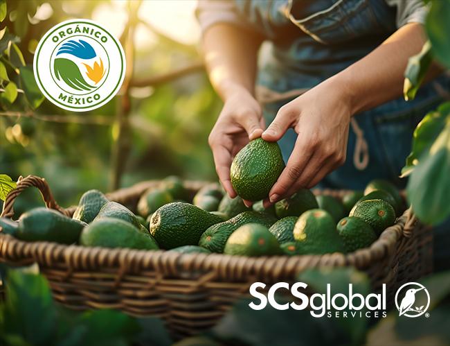 SCS México Approved for Organic Certification Under LPO