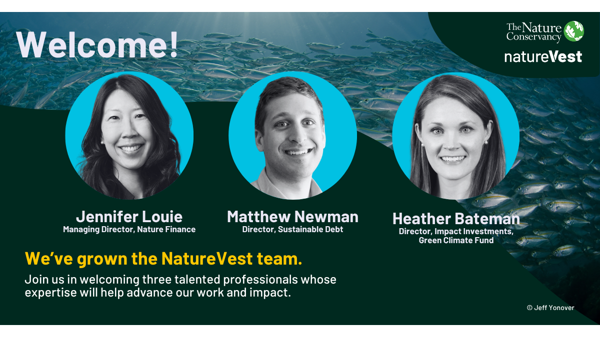 Image featuring three headshots of new NatureVest team members.
