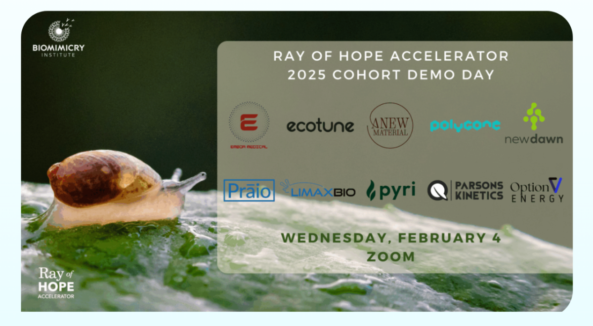 List of accelerator teams participating in the 2025 cohort demo day