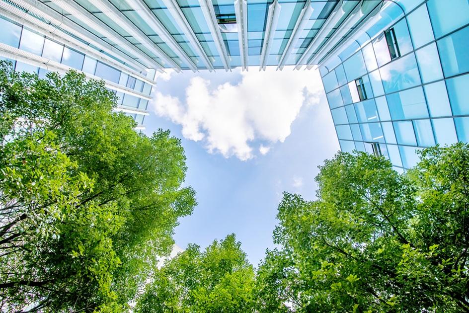 Bottom-up view of an office building and trees with a blue sky in the background